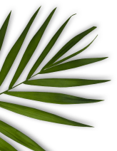 Orakel Niacinamide Ceramide face wash product packaging side view